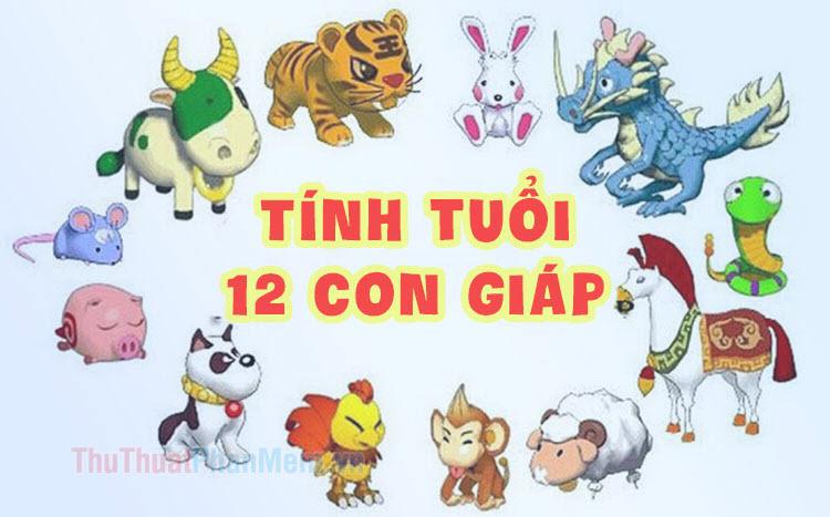 65 Tuổi Là Tuổi Con Gì