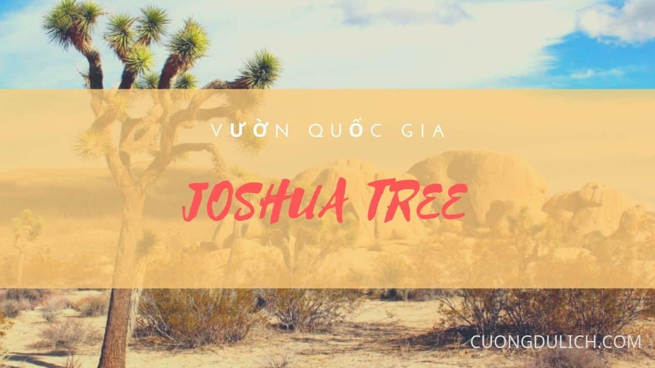 cong-vien-joshua-tree