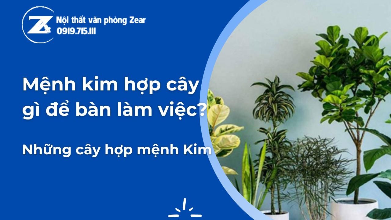 mệnh kim hợp cây gì