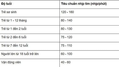 Bảng tiêu chuẩn nhịp tim.