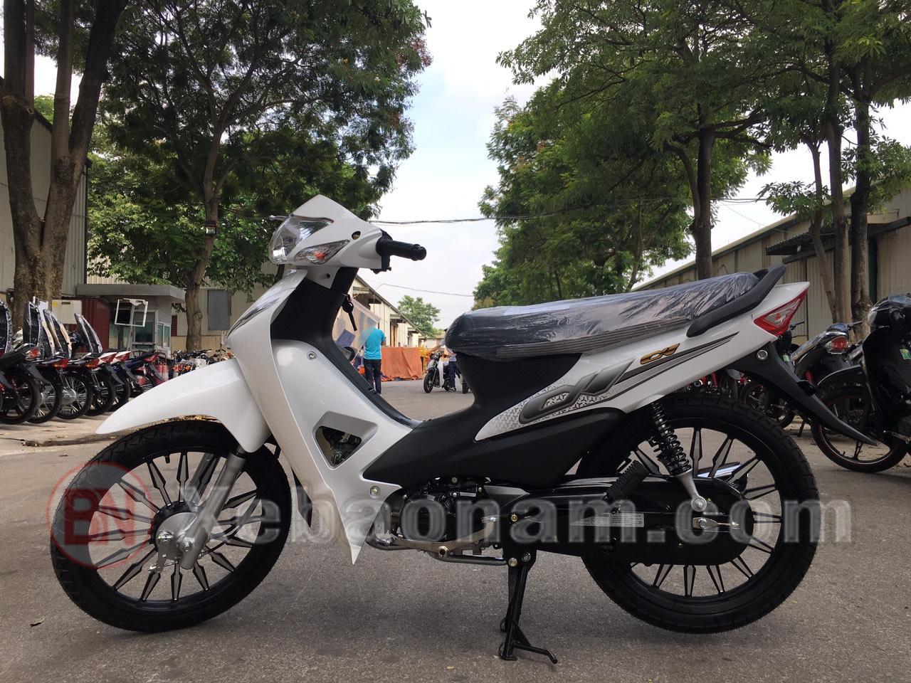 Xe WAVE HALIM 50CC (Bản đặc biệt)