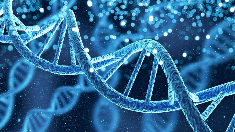 adn-va-dna-su-khac-biet-va-diem-chung-trong-khoa-hoc-y-sinh 1